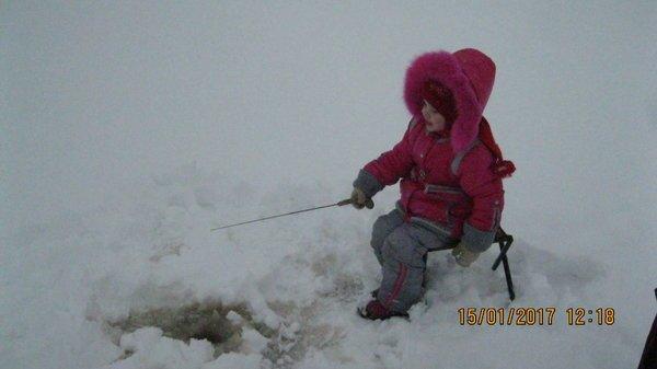 2017-01-15 12-18-47.JPG