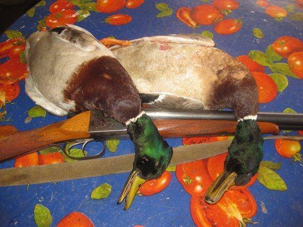 питер и самайн 020.jpg