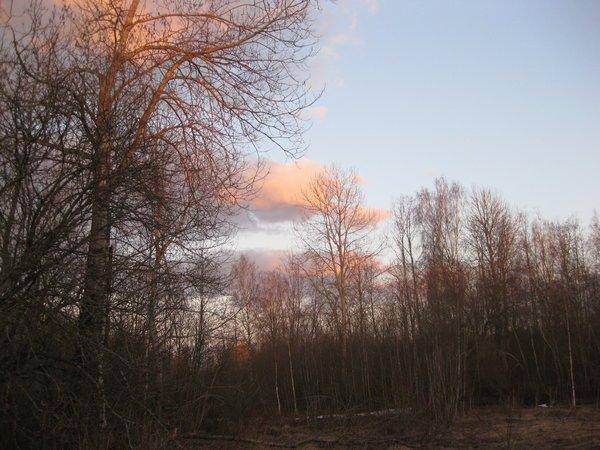 резерв 731.jpg