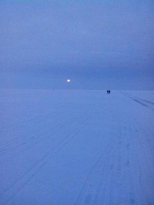 1486881225101.thumb.jpg.b0206edfbb12dd62