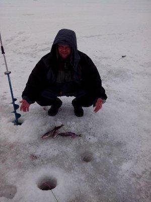 1486881534259.thumb.jpg.d760dc77d2c78540