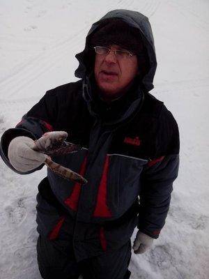 1486881632891.thumb.jpg.ab18e71fcb99462f