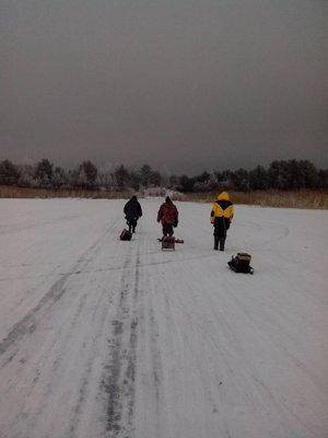 1486881729152.thumb.jpg.d0aee12563588321