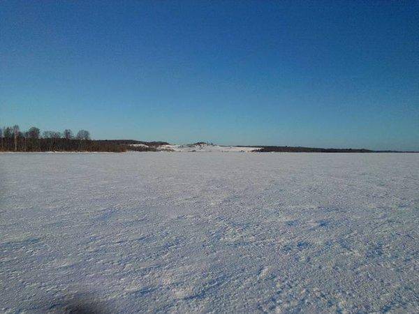 1487170670290.thumb.jpg.ea3dd0ce4a8e7291