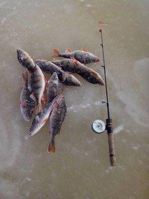 1488041357709.thumb.jpg.bb152b9354561b2d