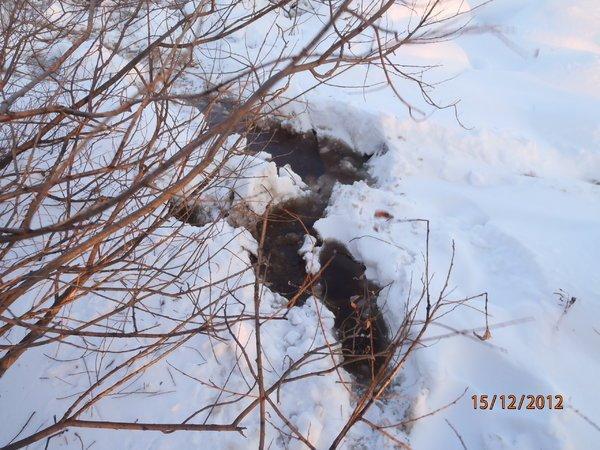 со снежиком в болоте 056.JPG