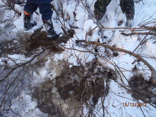 со снежиком в болоте 059.JPG