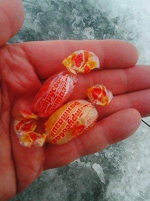 Ладога 13 февраля 2017 005.jpg