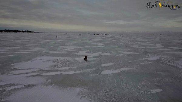 Зимний хищник (1 of 1).jpg