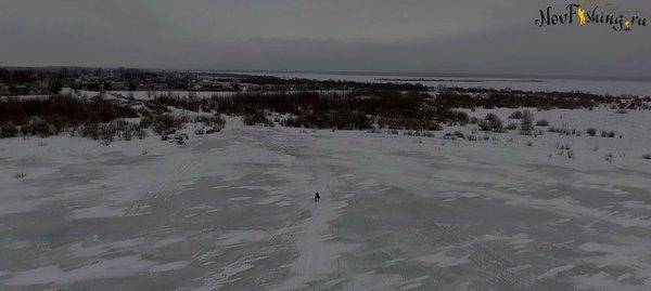 Зимний хищник (2 of 1).jpg