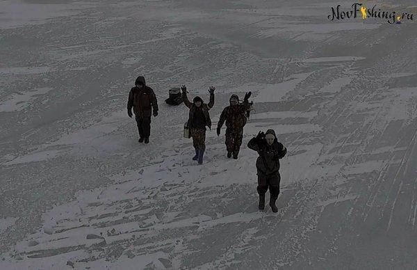 Зимний хищник (4 of 1).jpg