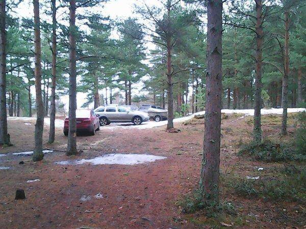 Ладога 18 марта 2017 001.jpg