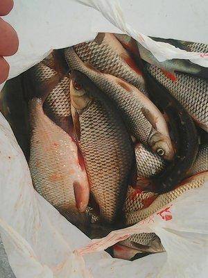 Ладога 18 марта 2017 015.jpg