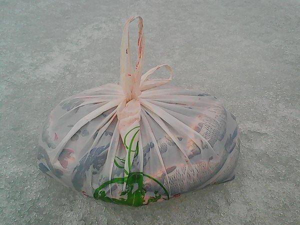 Ладога 18 марта 2017 016.jpg