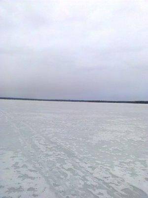 58ce87925870b_4965.thumb.jpg.f563dc015ca