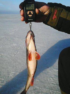 Ладога 19марта 2017 009.jpg