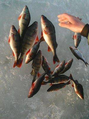 Ладога 19марта 2017 014.jpg