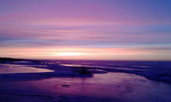 последняя 1.jpg