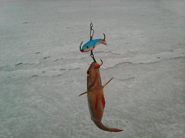 Боровно 26 марта 2017 003.jpg