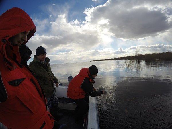 GOPR2023.thumb.JPG.ac951d56f454b806bc24d