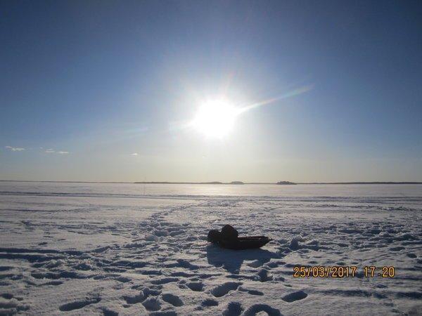 IMG_1442.JPG