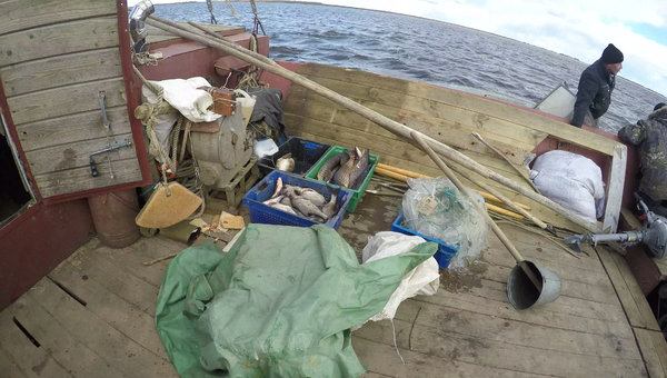 vlcsnap-2017-03-30-21h09m10s581.thumb.pn