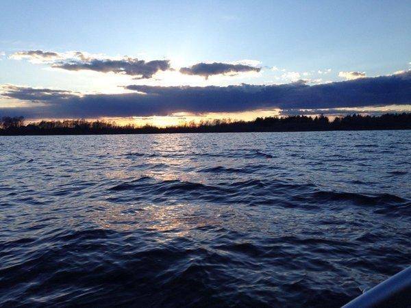 1wx5yksWSvk.thumb.jpg.0308f9e1432bd862ec