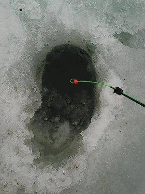 За лещем 2 апреля 2017 003.jpg