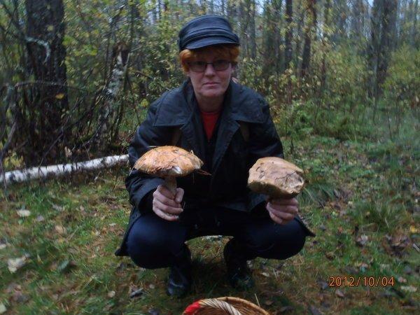 грибочки 026.JPG