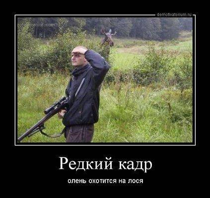 demotivatorium_ru_redkij_kadr_90369.jpg