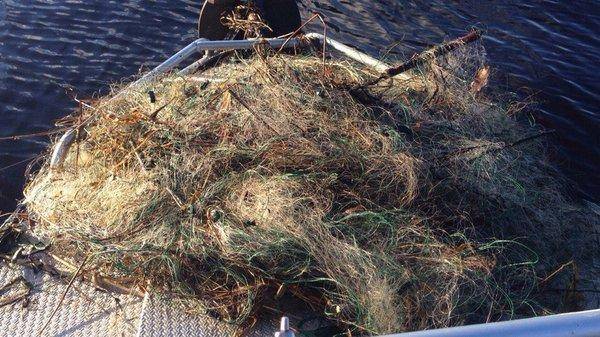 vMqXYpCRMOI.thumb.jpg.1583a5a77a99f4d619