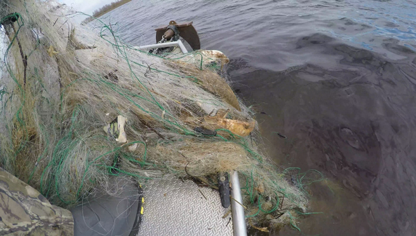 vlcsnap-2017-04-19-21h54m22s226.thumb.pn