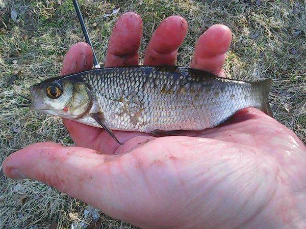 Открытие летнего сезона 2017 011.jpg