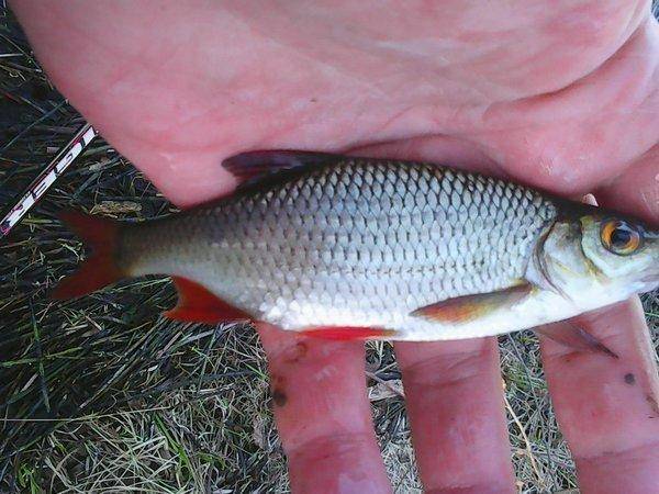 Открытие летнего сезона 2017 013.jpg