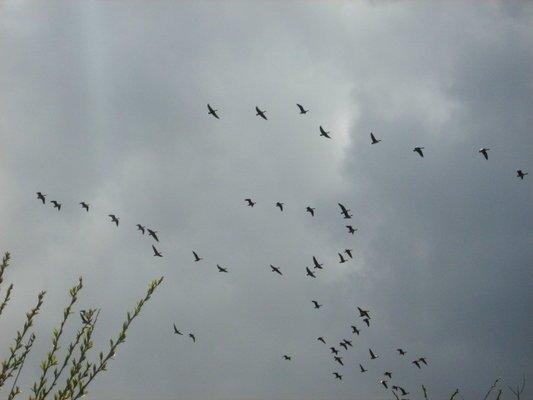 1980-01-01 00-00-41 (2).JPG