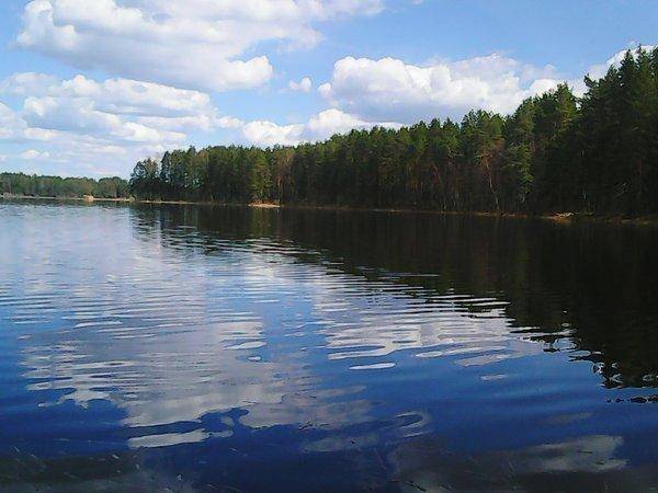 Розливы 14 мая 2017 006.jpg