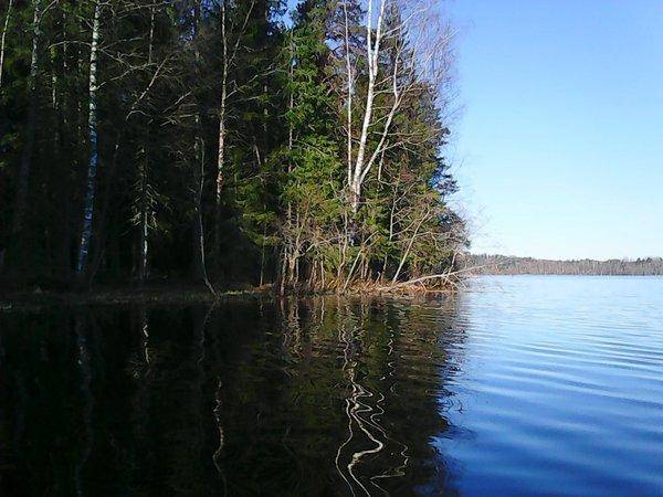 Боровно 17 мая 2017 011.jpg