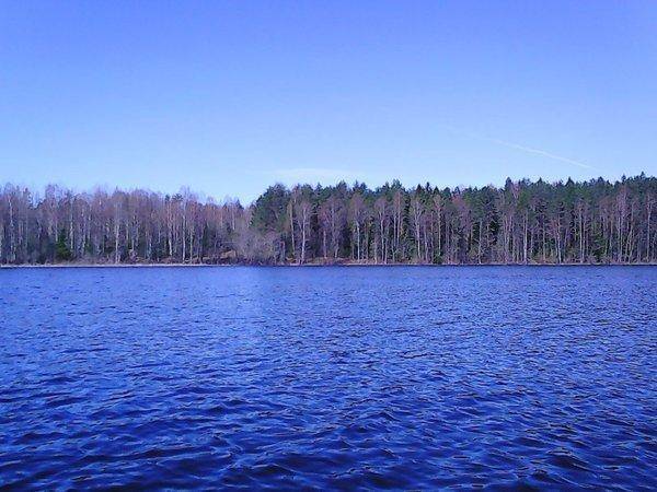 Боровно 17 мая 2017 042.jpg