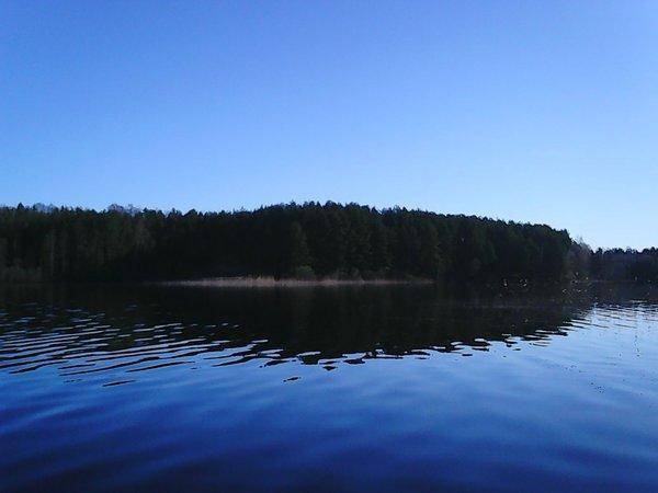 Боровно 17 мая 2017 008.jpg