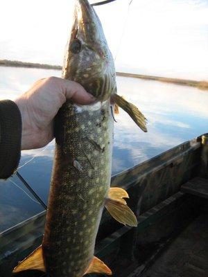 1980-01-01 00-00-26 (2).JPG