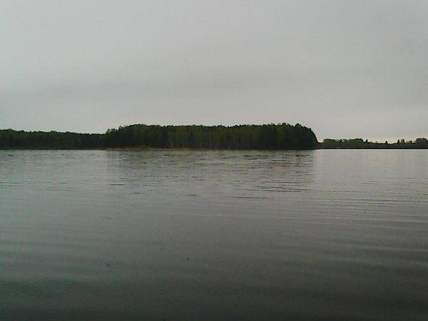 Боровно, бесклевье продолжается 007.jpg