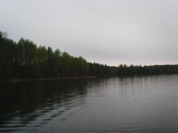 Боровно, бесклевье продолжается 003.jpg