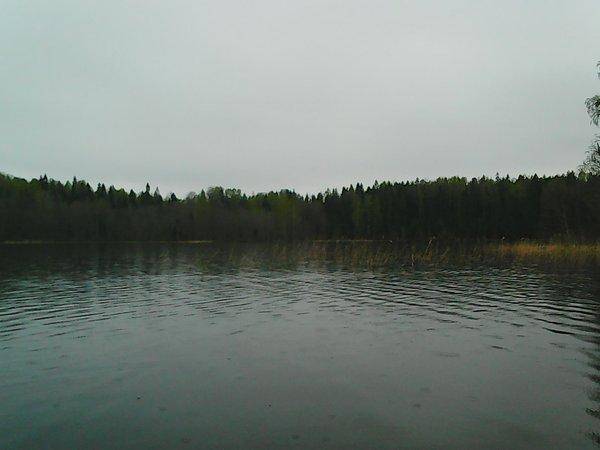 Боровно, бесклевье продолжается 009.jpg