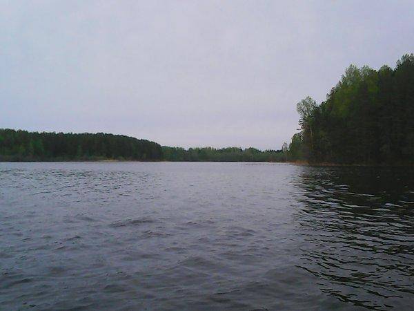 Боровно 27 мая 2017 009.jpg