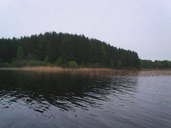 Боровно 27 мая 2017 012.jpg