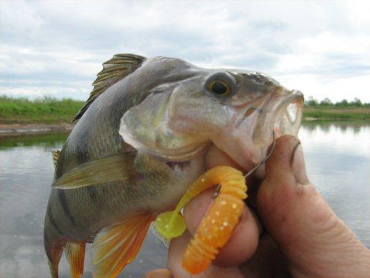 1980-01-01 00-00-10 (4).JPG