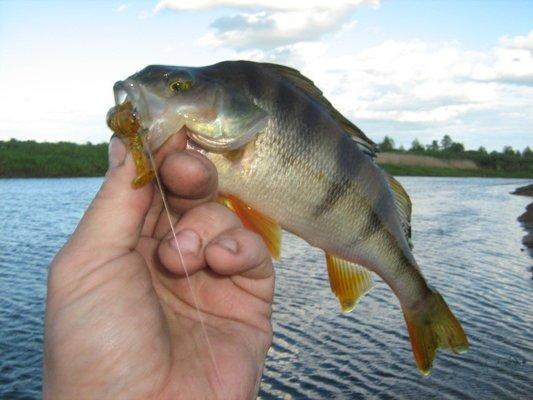 1980-01-01 00-00-10 (6).JPG