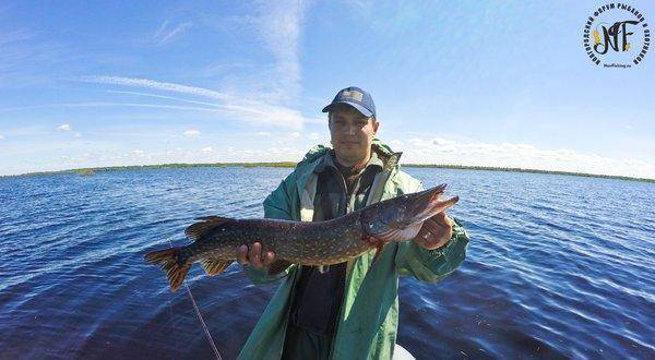 рыба (8 of 1).jpg