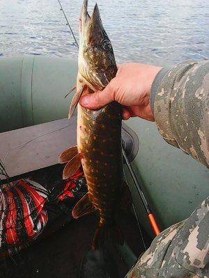 Джерковое озеро 28 мая 2017 010.jpg