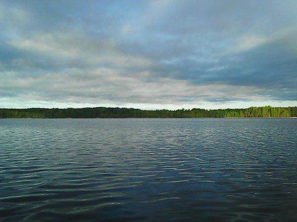 Боровно-Розливы 30 мая 2017 003.jpg